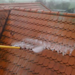 Roof-Cleaning